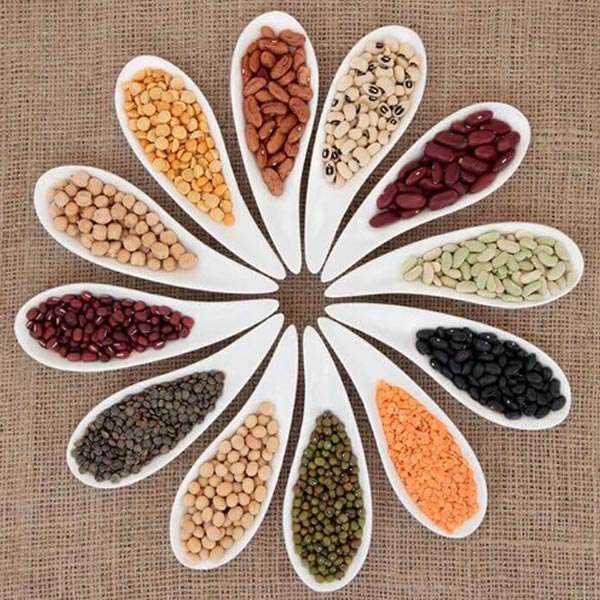 thumb---organic-pulses4948